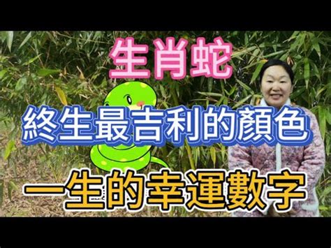 蛇 數字|【蛇的代表數字】揭曉！屬蛇者的幸運數字：5個數字。